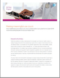Whitepaper: Making Meaningful Use Count
